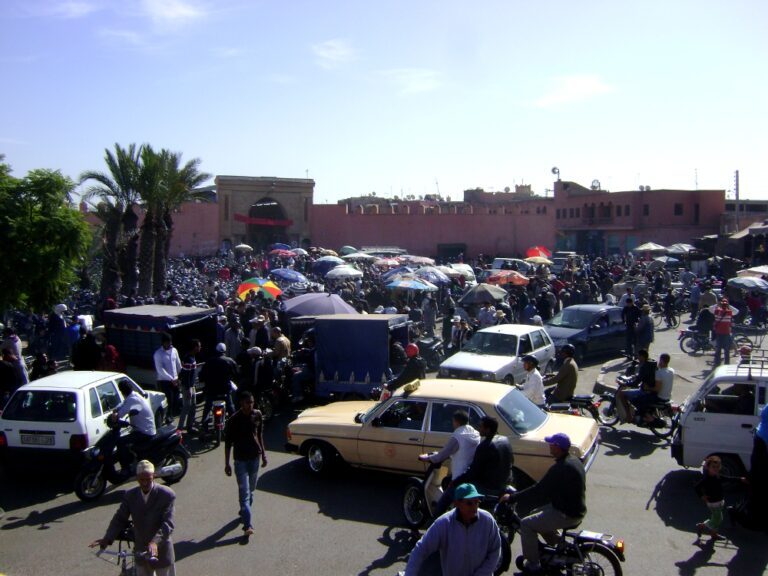 A large group of people are gathered around cars.